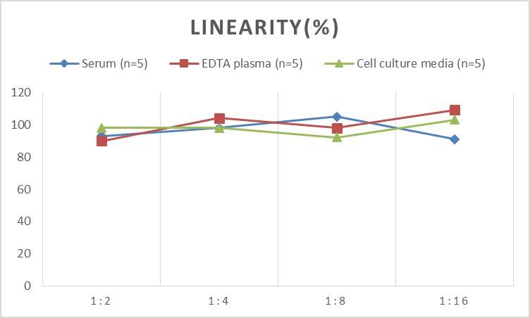 Human Adenylate Cyclase 1 ELISA Kit (Chemiluminescence)