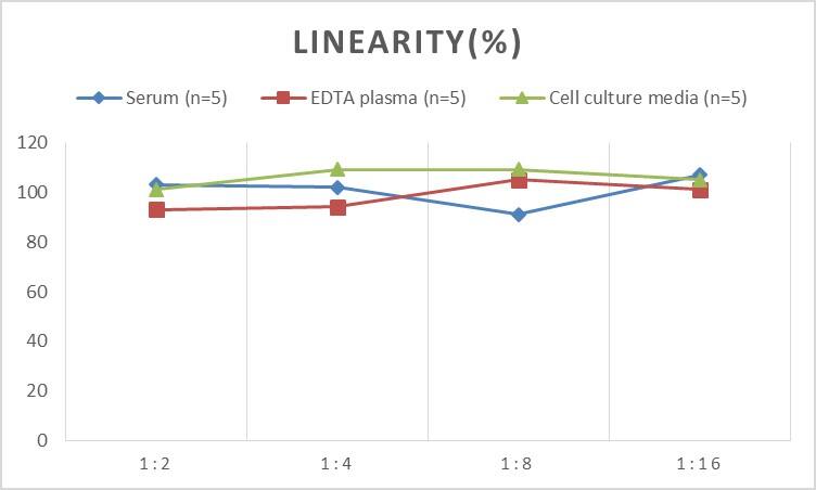 Human Adenylate Cyclase 2 ELISA Kit (Chemiluminescence)