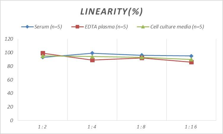 Human ADCY4 ELISA Kit (Colorimetric)