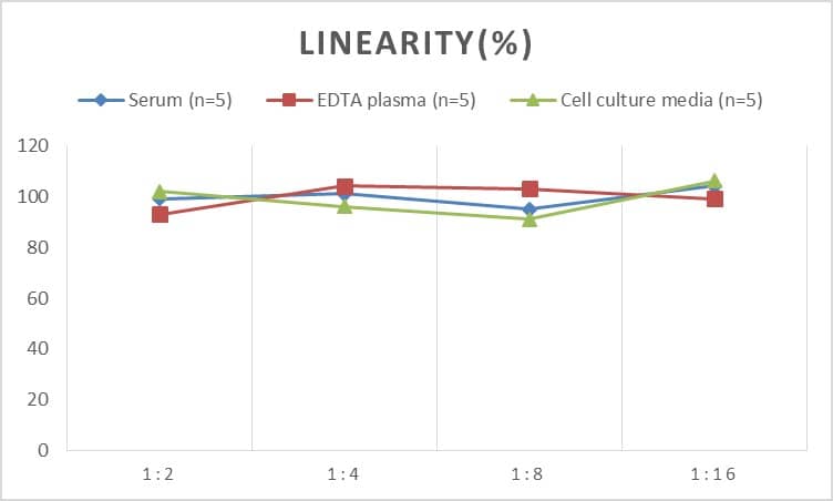 Human AdipoR1 ELISA Kit (Chemiluminescence)