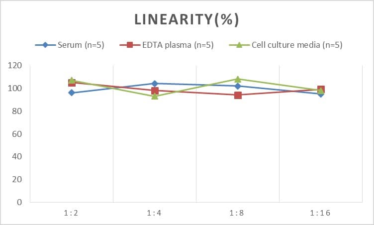 Human Adrenomedullin/ADM ELISA Kit (Chemiluminescence)