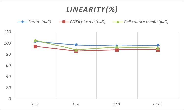 Human AFAP ELISA Kit (Colorimetric)