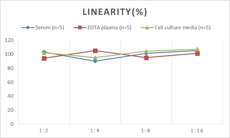 Human VG5Q ELISA Kit (Chemiluminescence)