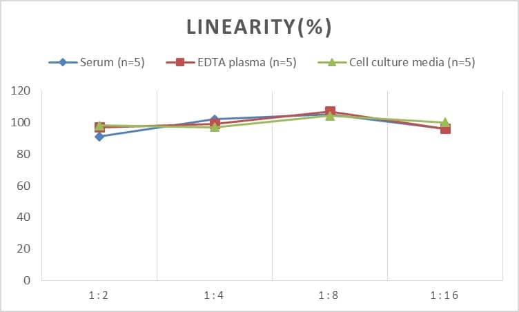 Human Agrin ELISA Kit (Chemiluminescence)