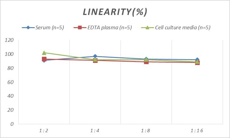 Mouse Agrin ELISA Kit (Colorimetric)