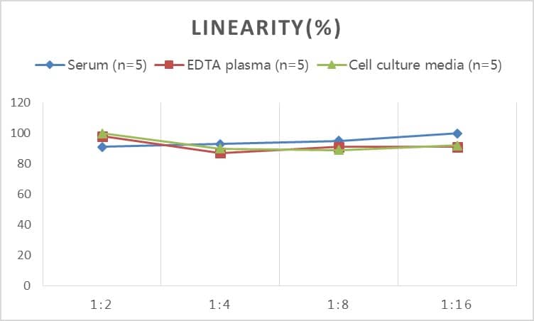 Rat Agrin ELISA Kit (Colorimetric)