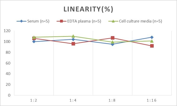 Mouse AgRP/ART ELISA Kit (Chemiluminescence)