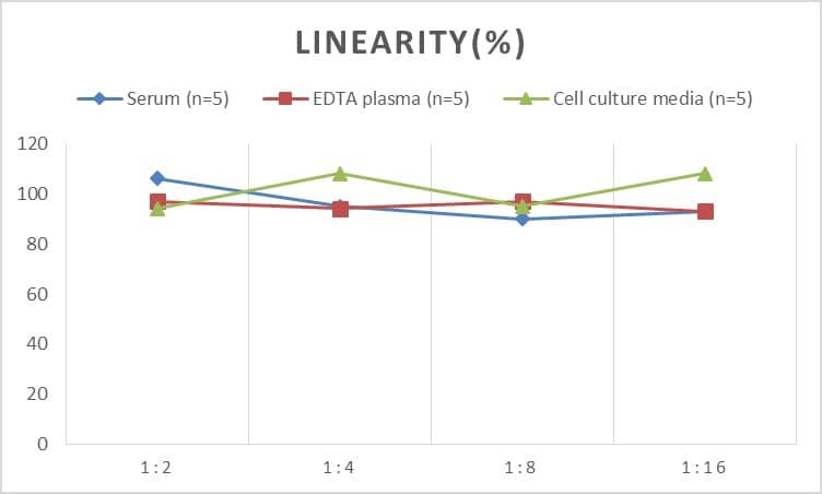 Human Serpin A8/Angiotensinogen ELISA Kit (Chemiluminescence)