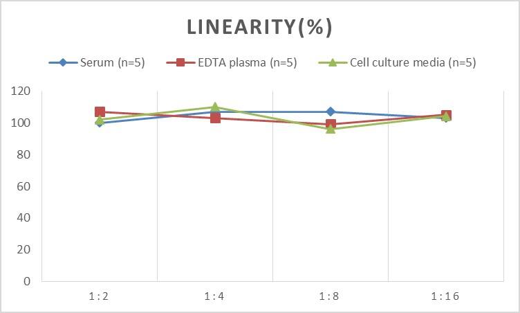 Mouse Serpin A8/Angiotensinogen ELISA Kit (Chemiluminescence)