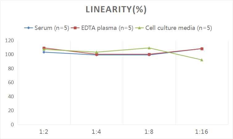 Rat Serpin A8/Angiotensinogen ELISA Kit (Chemiluminescence)