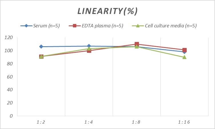 Human AHR ELISA Kit (Chemiluminescence)