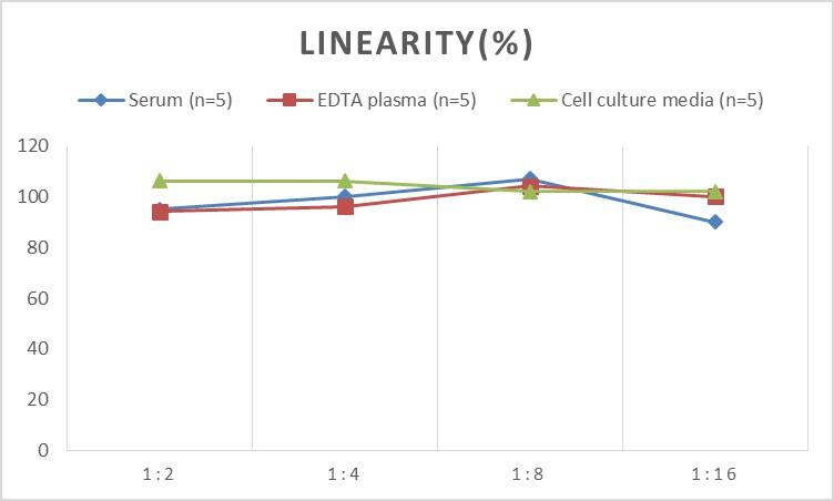 Human ATIC ELISA Kit (Chemiluminescence)