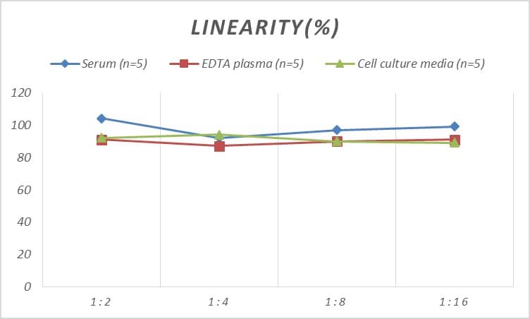 Human AIG1 ELISA Kit (Colorimetric)