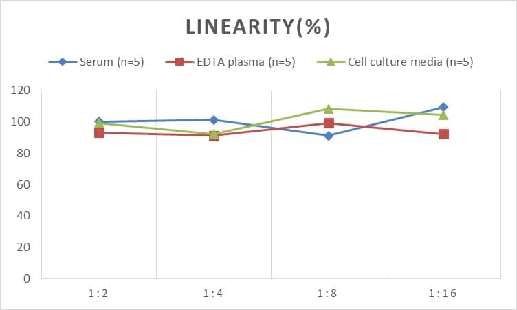 Human AIM2 ELISA Kit (Chemiluminescence)