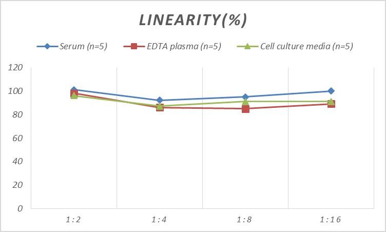 Mouse AIP/ARA9 ELISA Kit (Colorimetric)