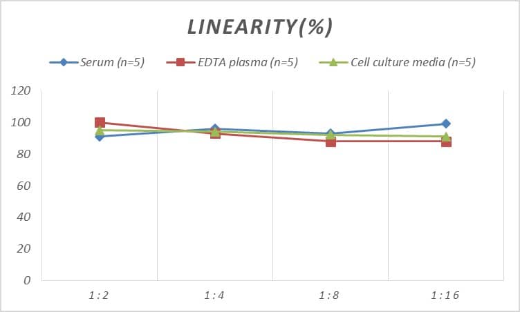 Rat AIP/ARA9 ELISA Kit (Colorimetric)