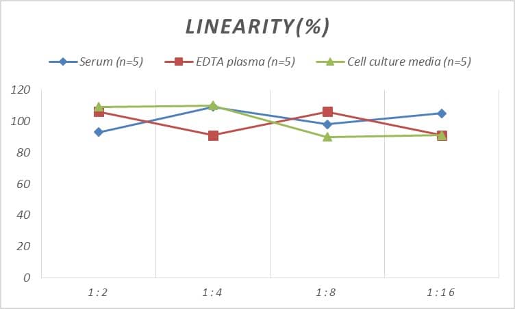 Human Autoimmune Regulator/AIRE ELISA Kit (Chemiluminescence)