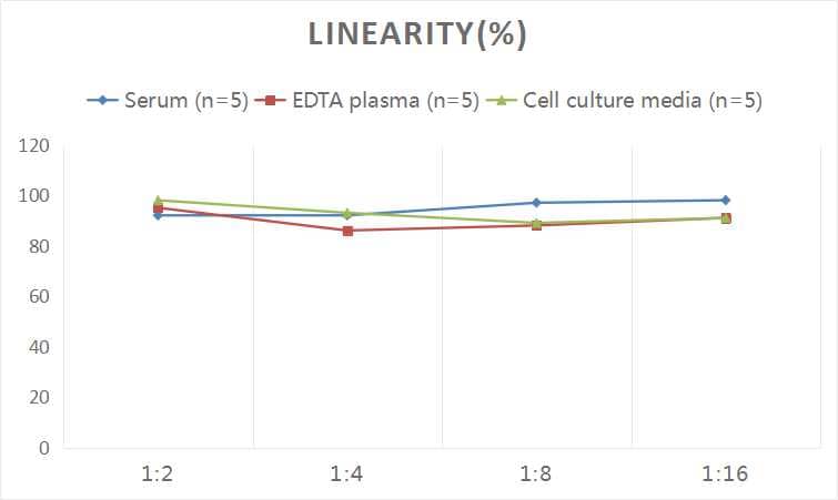 Human p27/Kip1 ELISA Kit (Colorimetric)