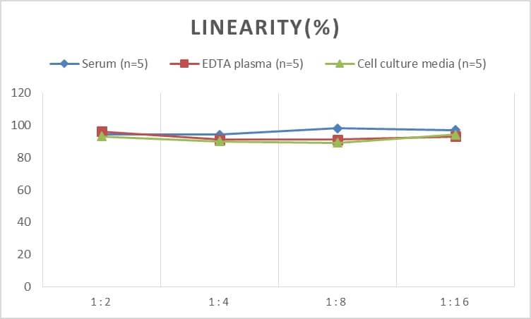 Rat GRK2 ELISA Kit (Colorimetric)