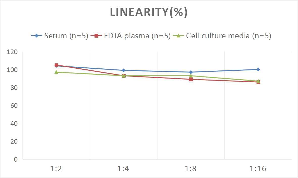 Human C5b-9 ELISA Kit (Colorimetric)