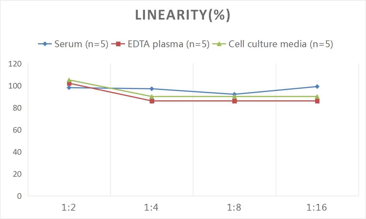 Human Ghrelin ELISA Kit (Colorimetric)