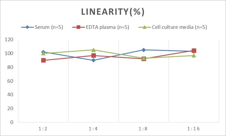 Rat Muscle Phosphofructokinase/PFKM/PFK-1 ELISA Kit (Chemiluminescence)