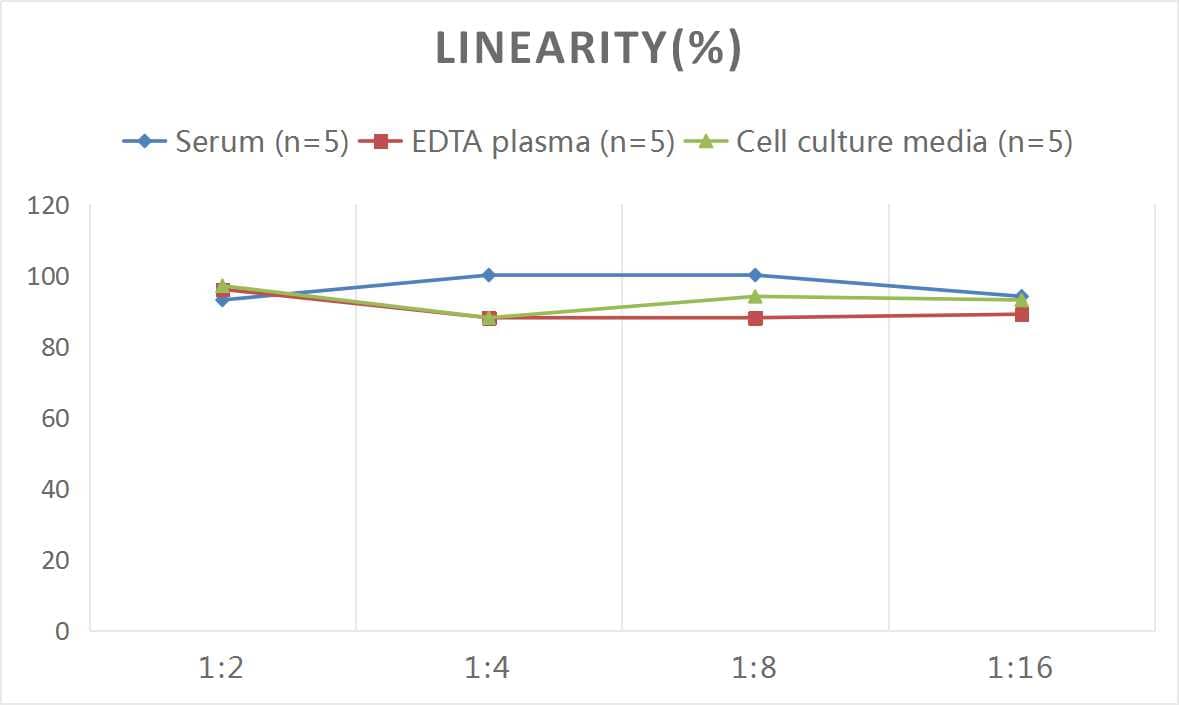 Human Tau [p Ser739] ELISA Kit (Colorimetric)