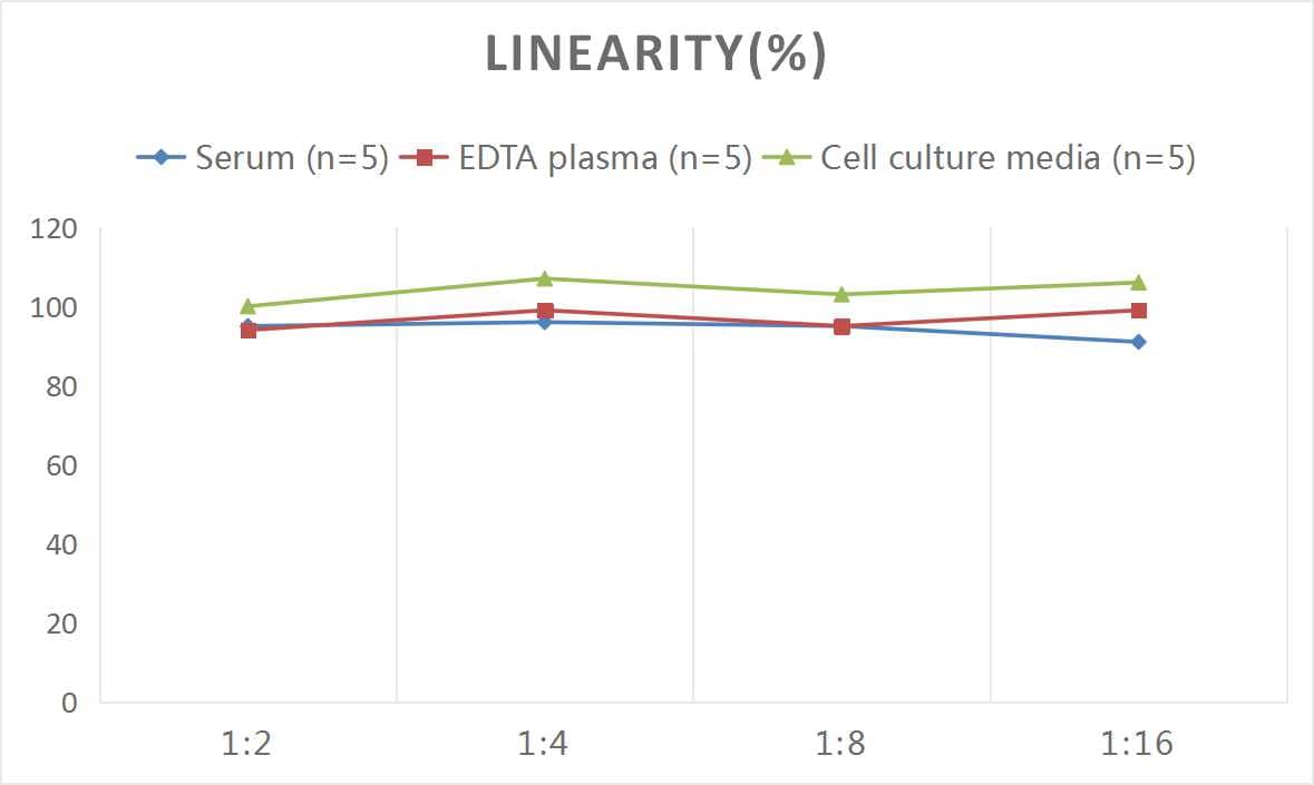 Human Motilin ELISA Kit (Colorimetric)