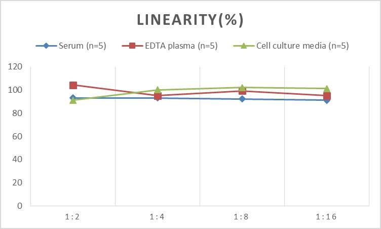Rat 11-dehydro-TXB2 ELISA Kit (Colorimetric)