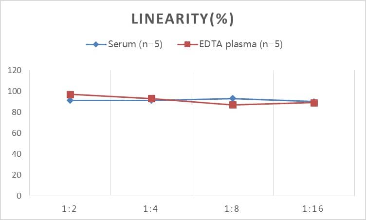 Human Acetylcholine Receptor Autoantibody ELISA Kit (Colorimetric)
