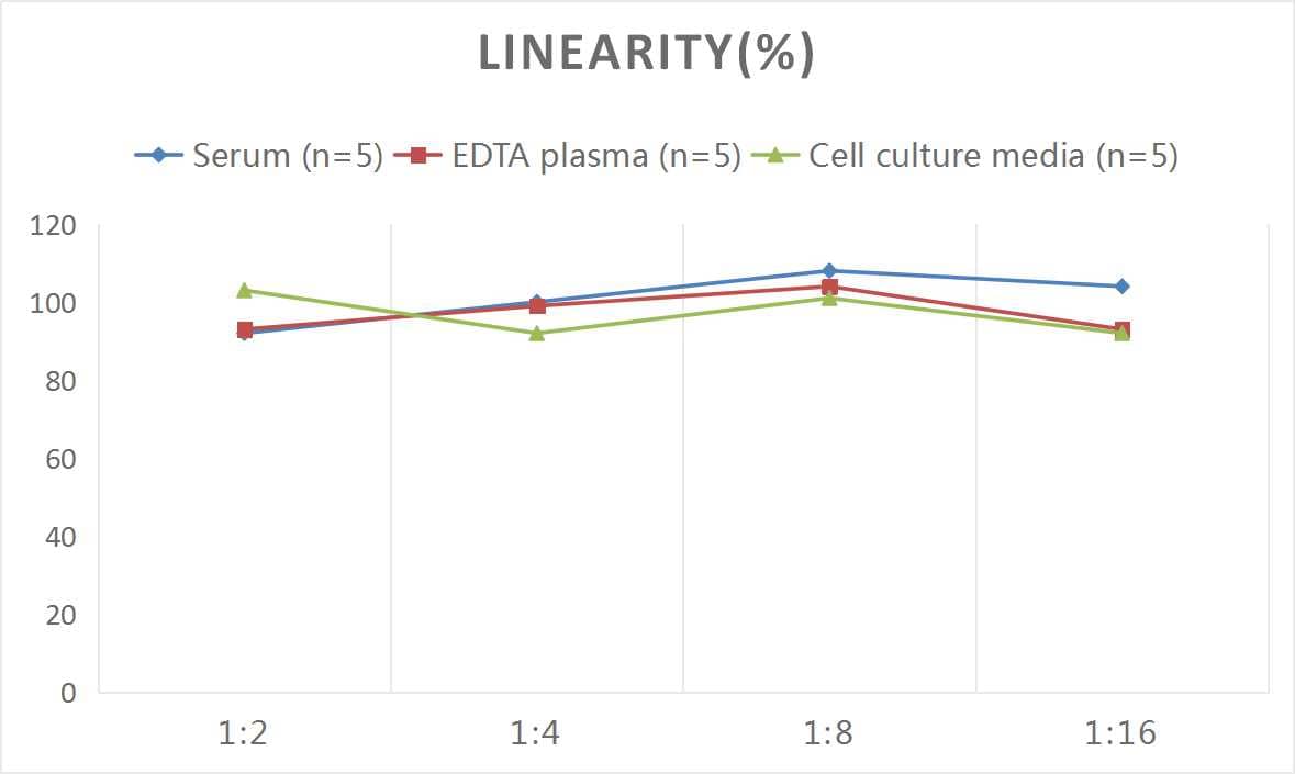 Human Angiopoietin-4 ELISA Kit (Chemiluminescence)