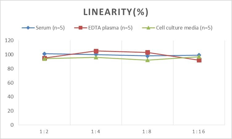 Human Angiopoietin-like Protein 2/ANGPTL2 ELISA Kit (Chemiluminescence)