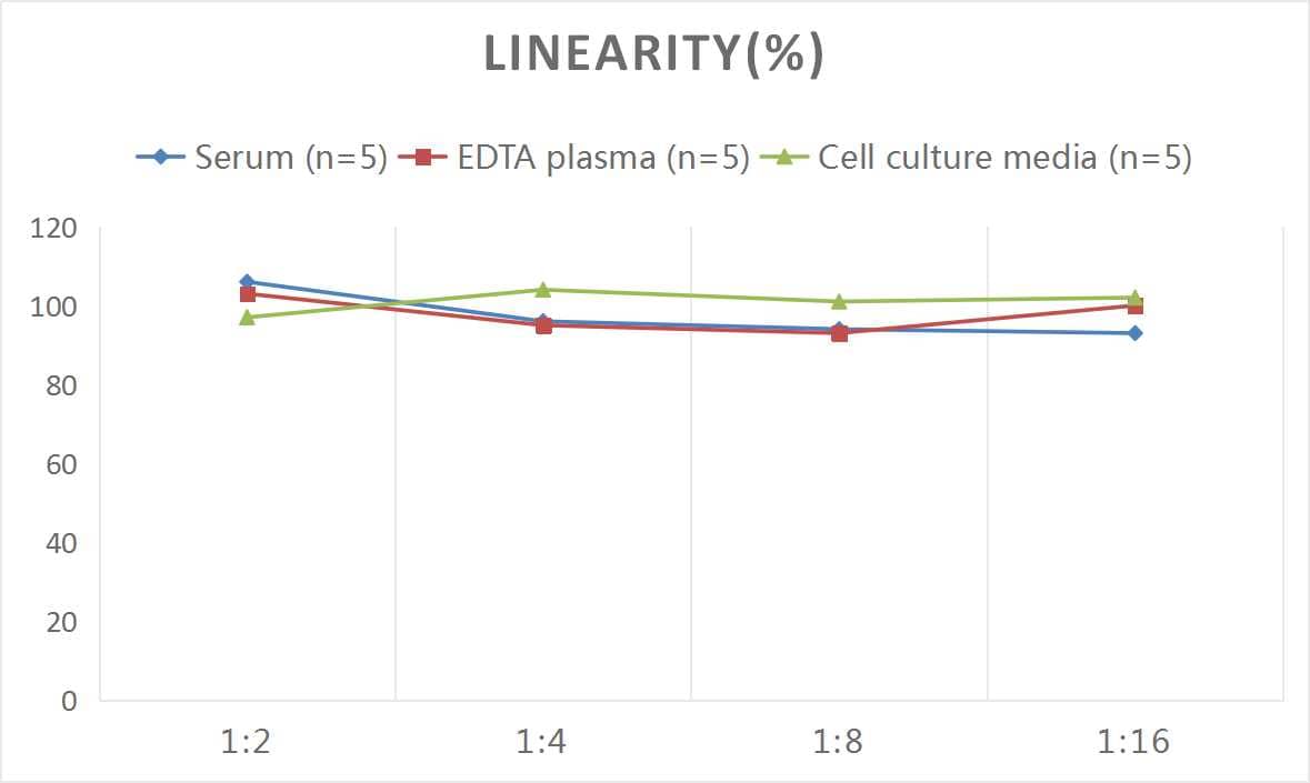 Mouse Atrial Natriuretic Peptide/ANP ELISA Kit (Colorimetric)