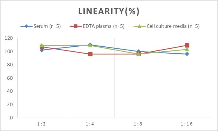 Mouse Apolipoprotein B/ApoB ELISA Kit (Chemiluminescence)