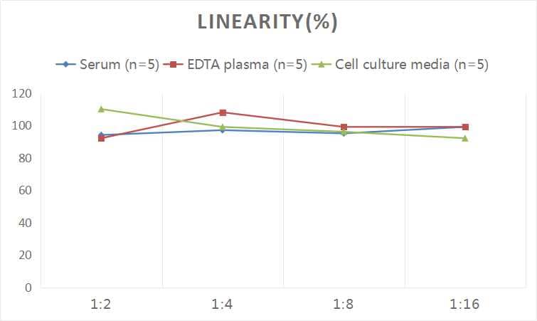 Rat Apolipoprotein B/ApoB ELISA Kit (Chemiluminescence)