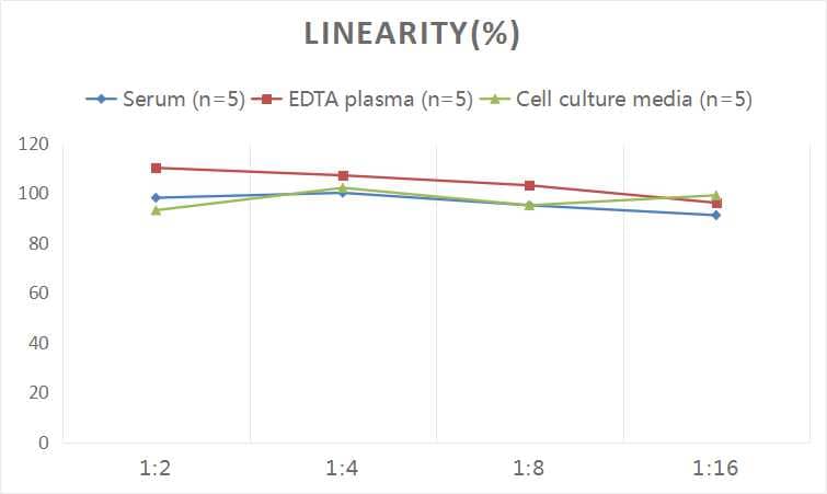 Rat Apolipoprotein E/ApoE ELISA Kit (Chemiluminescence)