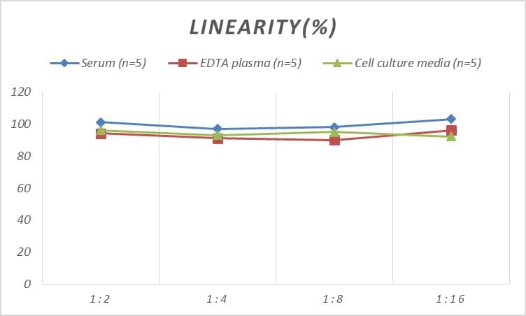 Rabbit Apolipoprotein E/ApoE ELISA Kit (Colorimetric)