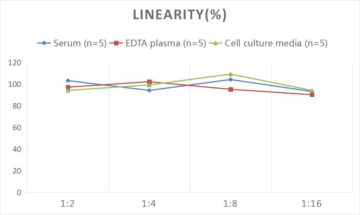 Mouse Apolipoprotein E/ApoE ELISA Kit (Chemiluminescence)