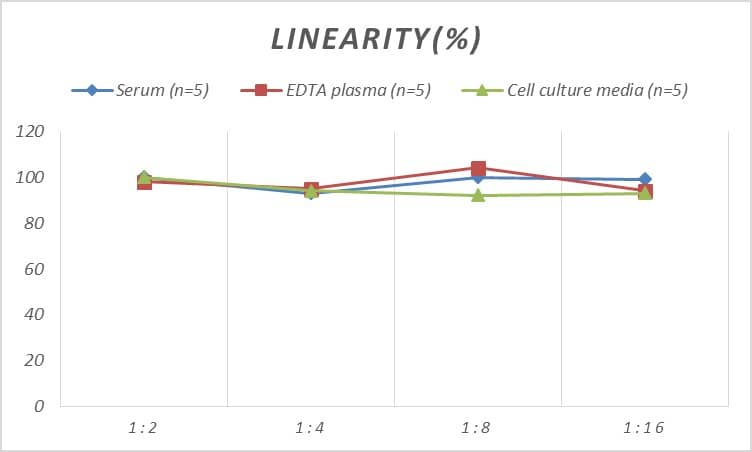 Human APP ELISA Kit (Chemiluminescence)