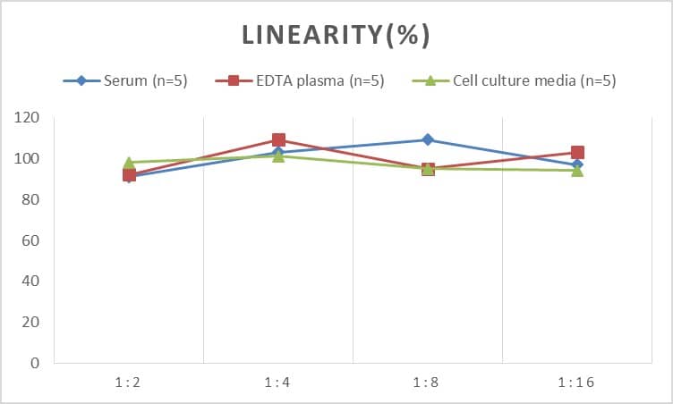 Human Midkine ELISA Kit (Chemiluminescence)