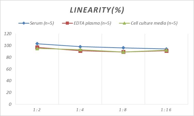 Human BACE-2 ELISA Kit (Colorimetric)