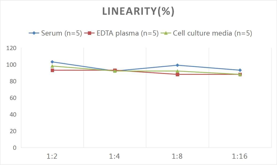 Human CTRP9/C1qTNF9 ELISA Kit (Colorimetric)