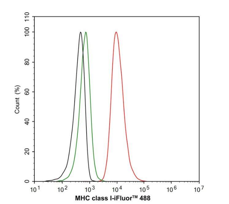 MHC Class I Antibody (JF10-38)