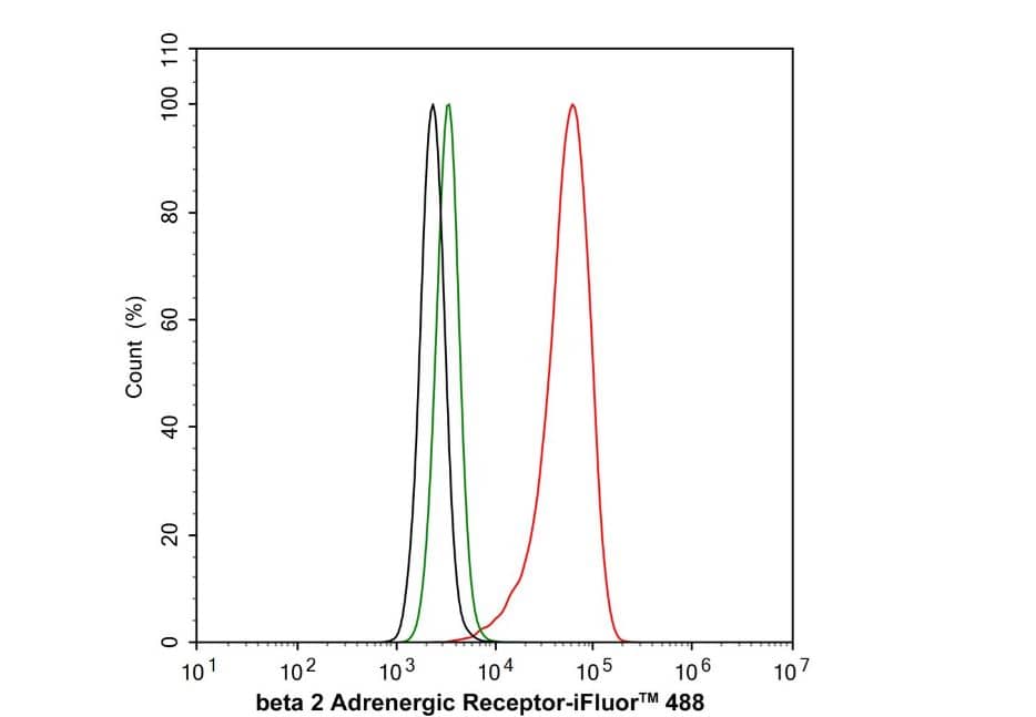 beta-2 Adrenergic R/ADRB2 Antibody (JM102-06)