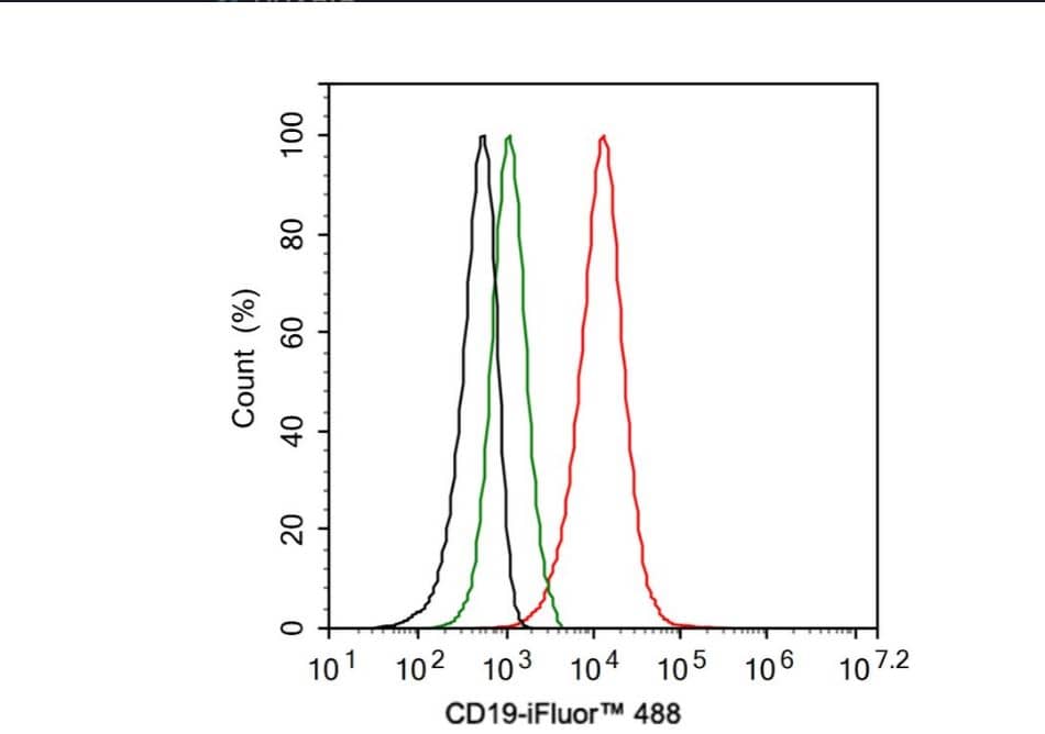 CD19 Antibody (JF100-06)