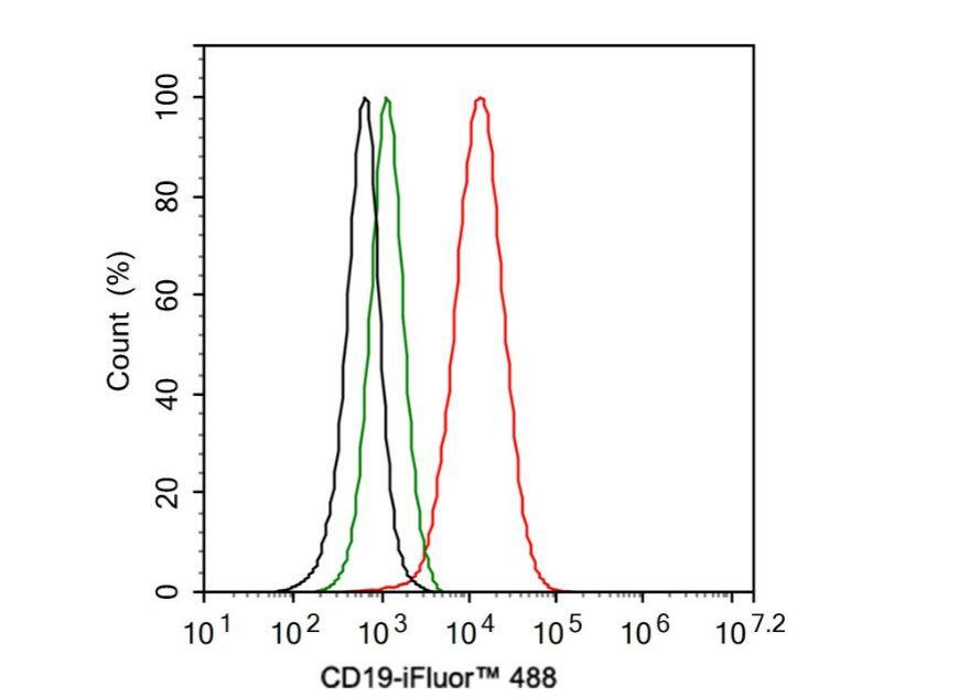 CD19 Antibody (JF100-06)