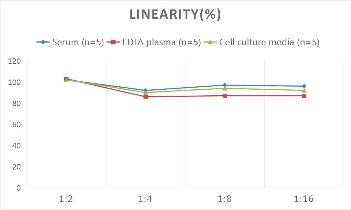 Human CART/CARTPT ELISA Kit (Colorimetric)