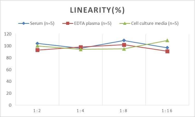 Human CDNF ELISA Kit (Chemiluminescence)