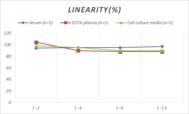 Human CDNF ELISA Kit (Colorimetric)