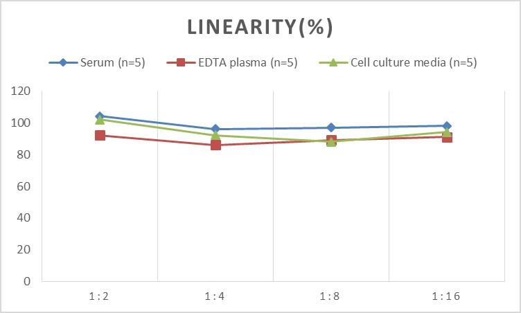 Rat Chromogranin A ELISA Kit (Colorimetric)